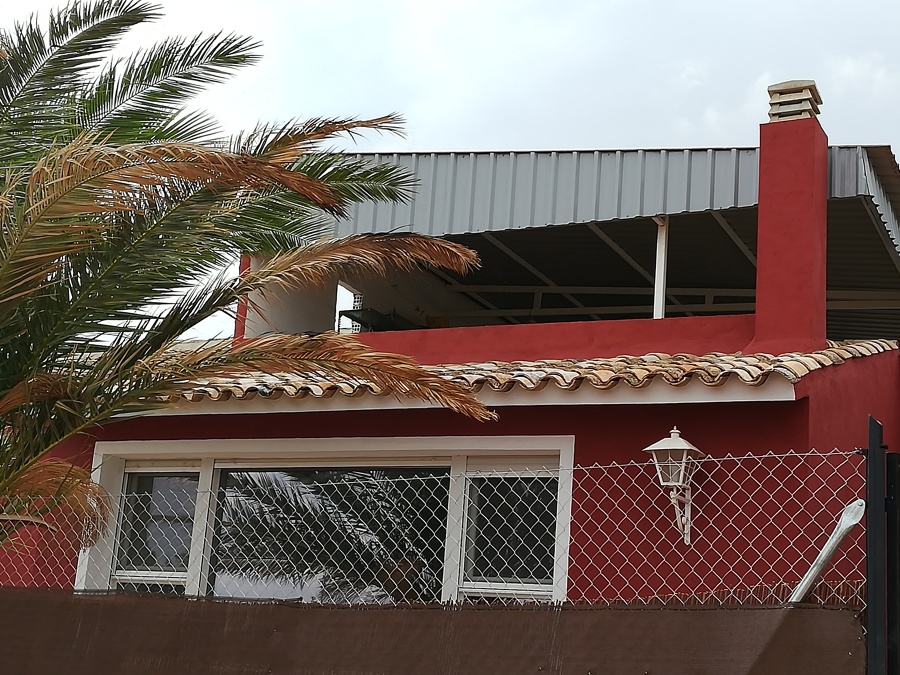 Palmera
