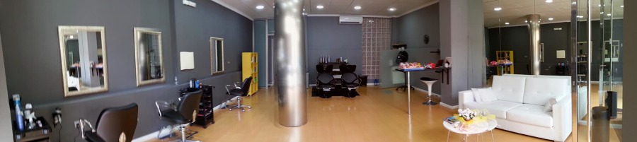 PANORAMICA 2 SALON