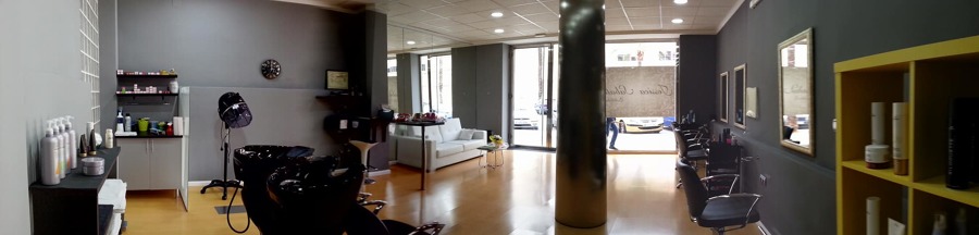 PANORAMICA SALON