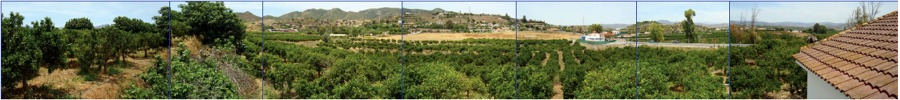 PARCELA EN 360º 