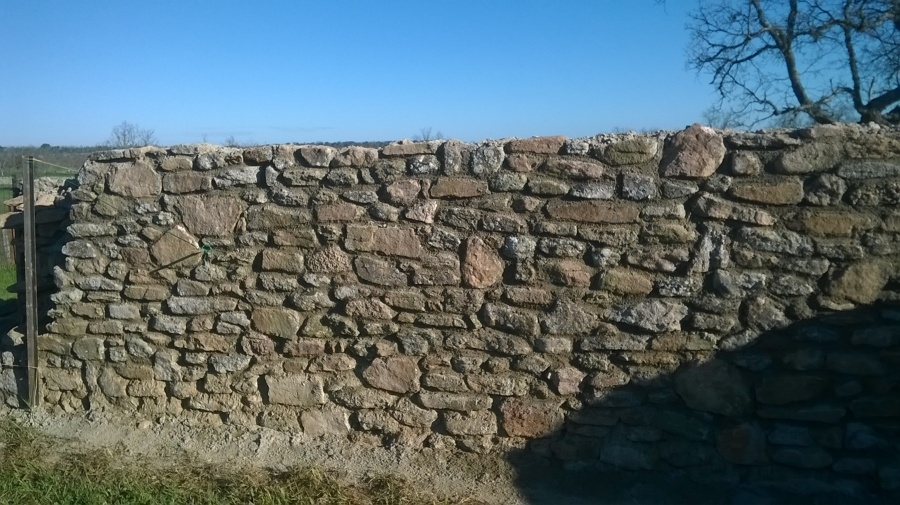 pared de alar 