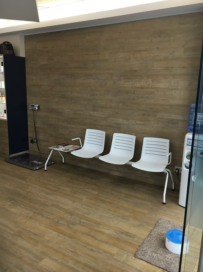 Pared parquet
