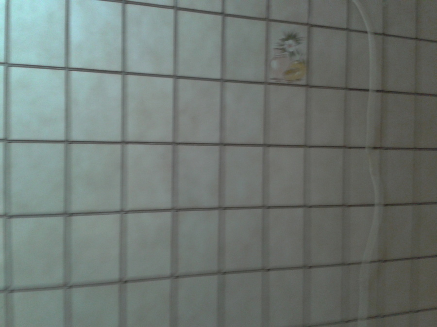 pared vieja 