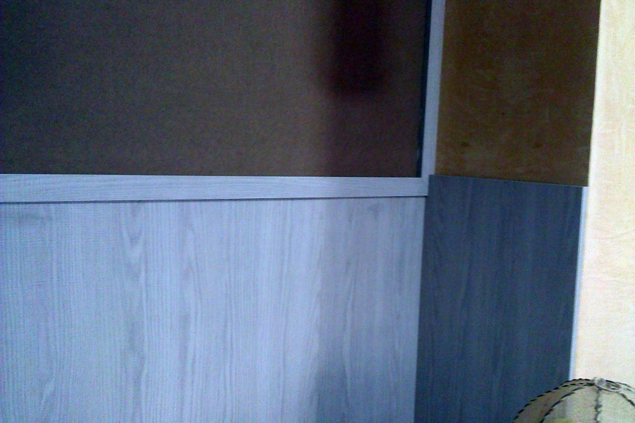 Pared