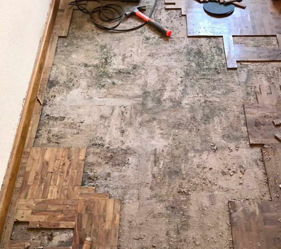 Parquet Olivo