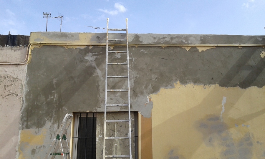 parte trasera