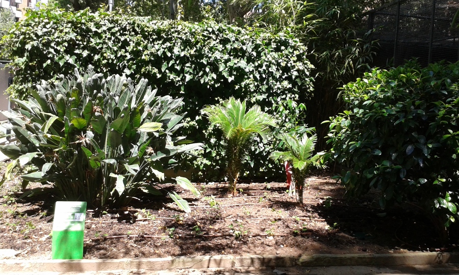 Parterre