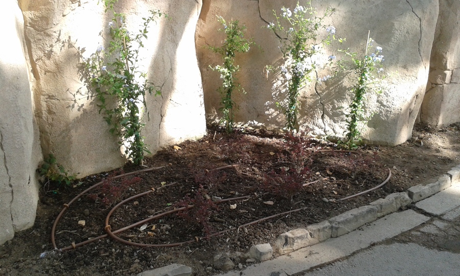 Parterre 