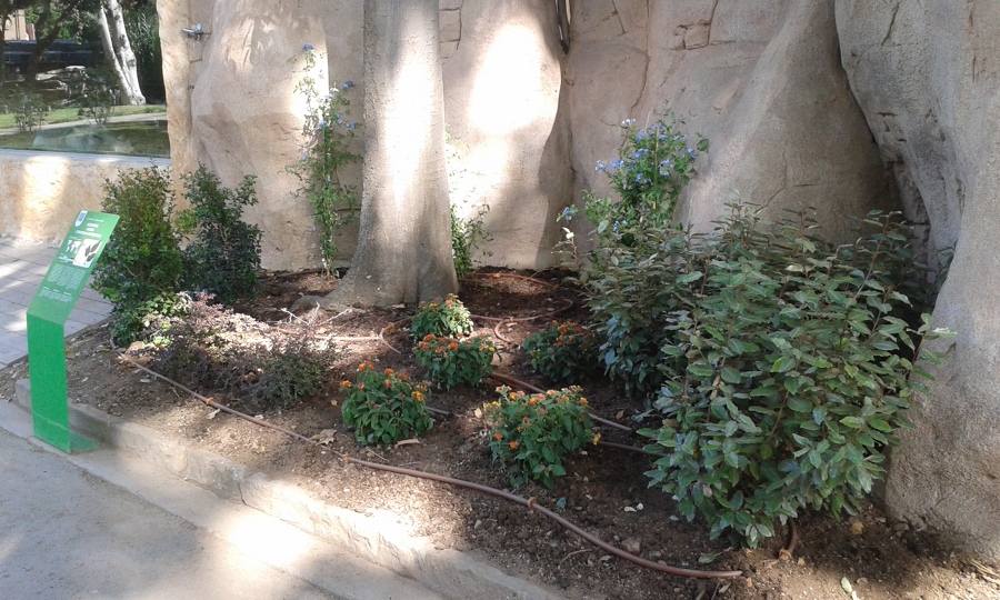 Parterre