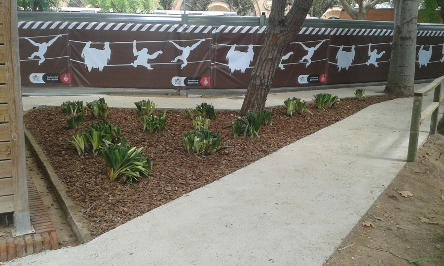 Parterre