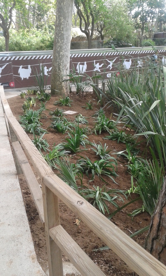 Parterre