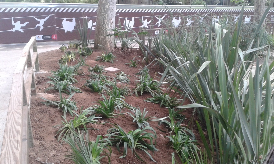 Parterre 