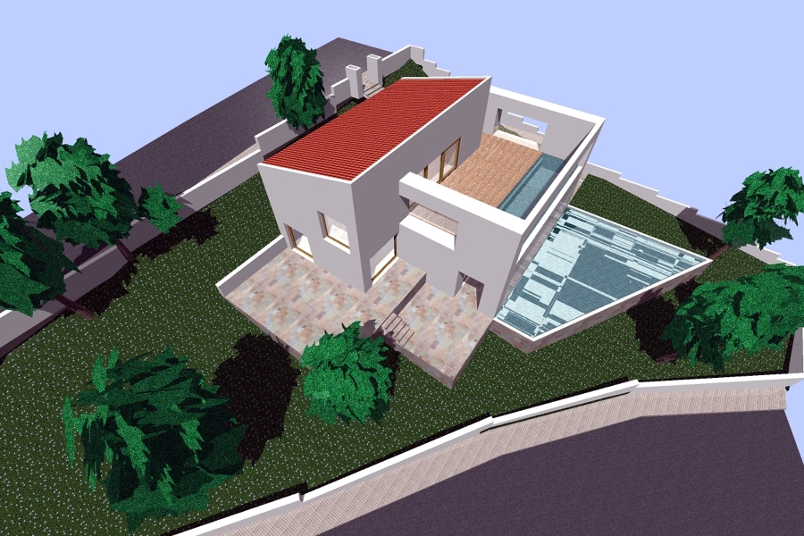 Perspectiva 5