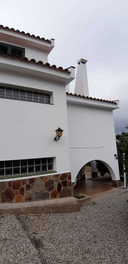 PINTADA DE CASA