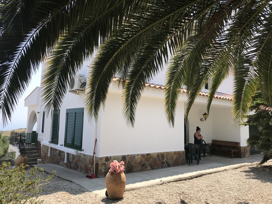 PINTADA DE CASA