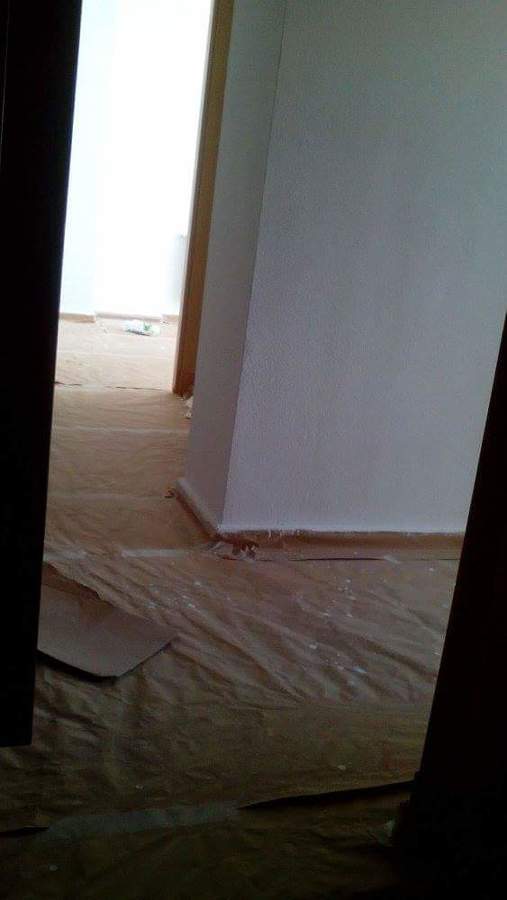 Pintura