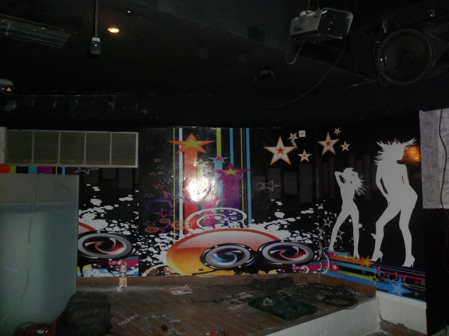 Pintura y vinilos 