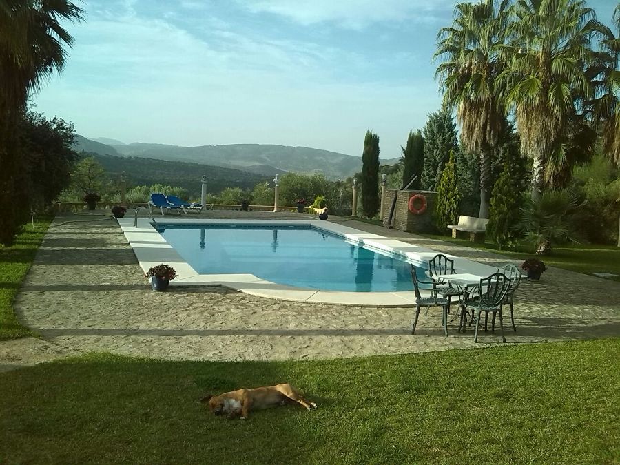 Piscina