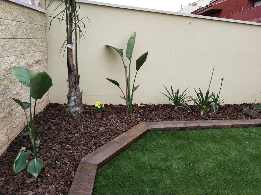 Plantas