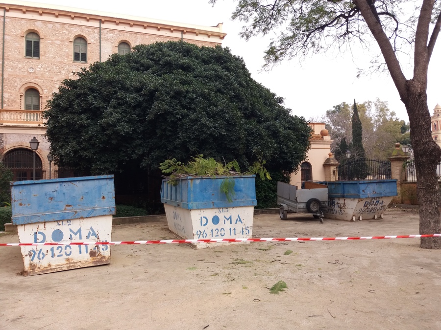 Poda de arboles