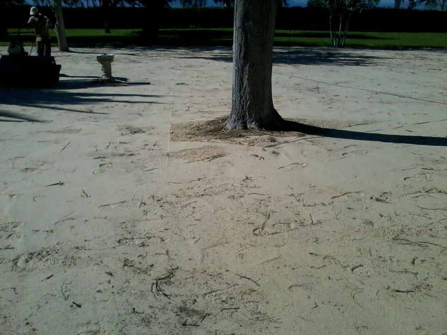 Foto: Colocacion de Bancadas Traviesas Ferrocarril y Plantas Trepadoras