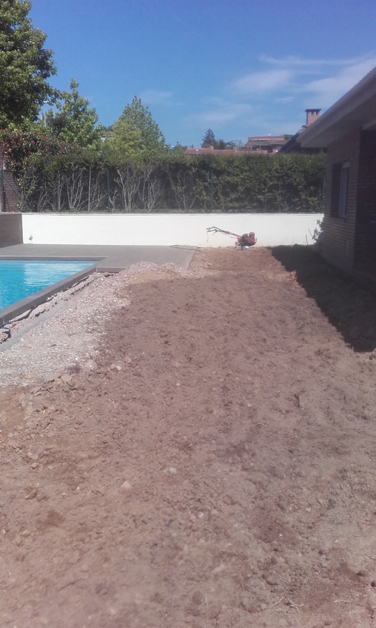 Previo