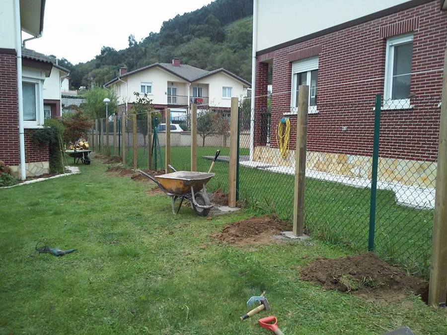 Proceso
