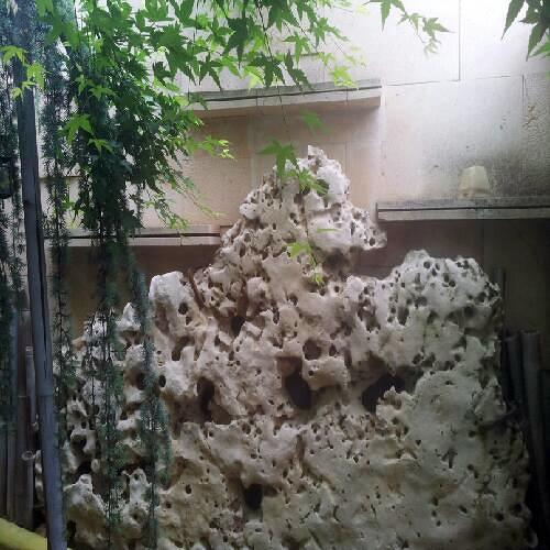 Proyecto jardin 1