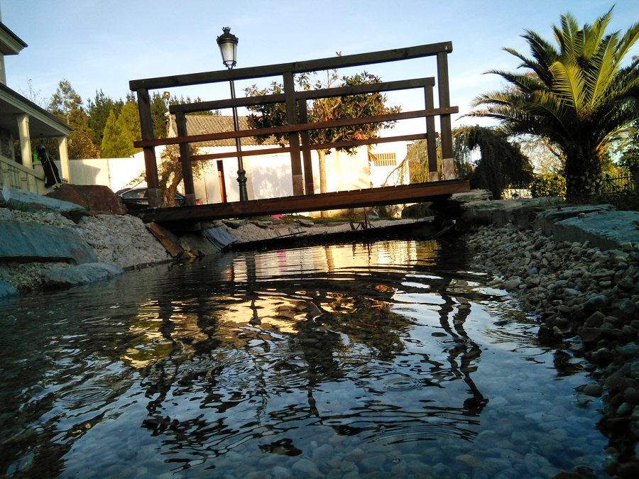 PUENTE LAGO