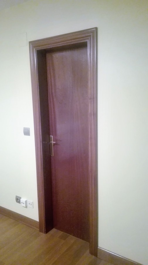 Puerta Acústica de madera 2
