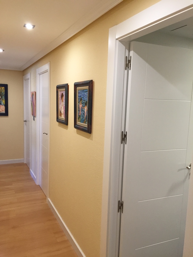 PUERTAS LACADAS