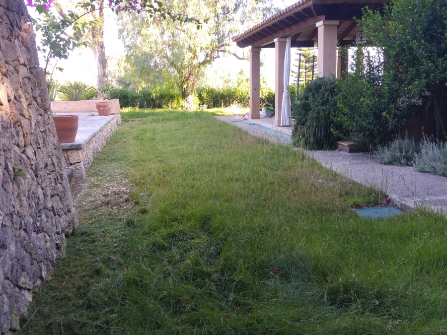 Puesta a punto de jardines