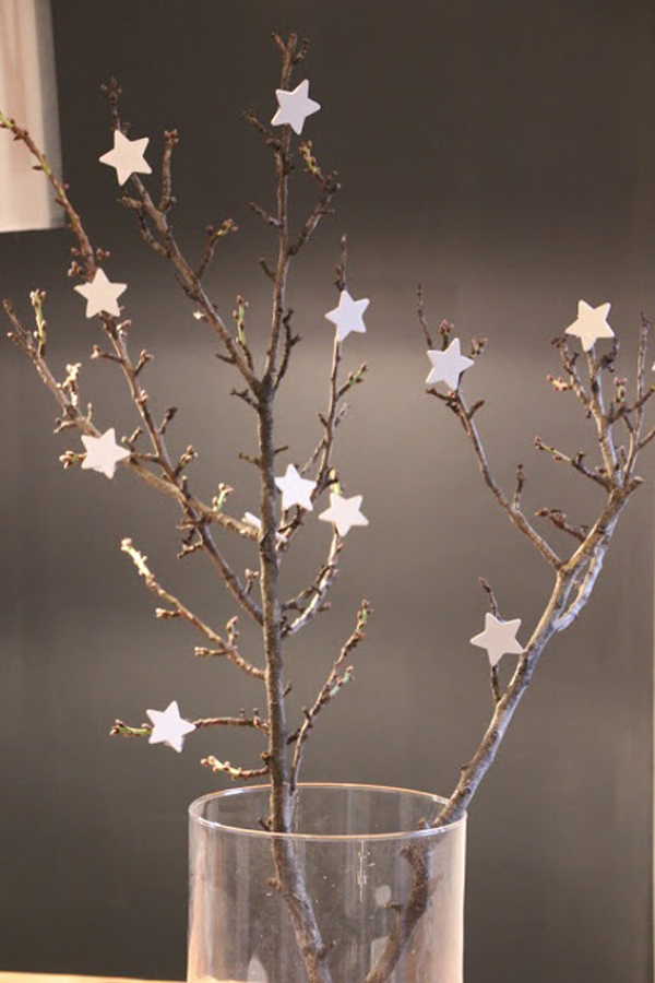 Ramas y estrellas