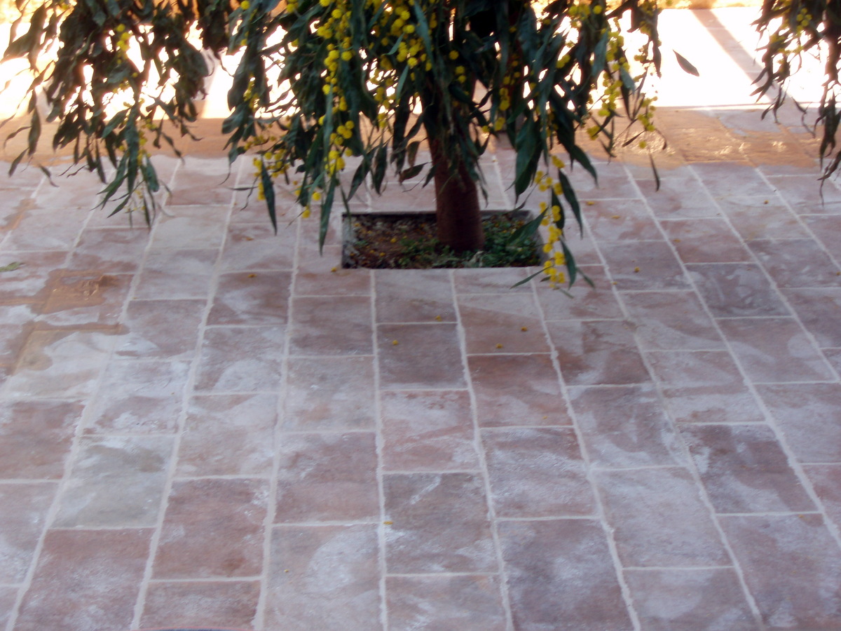 reforma jardin