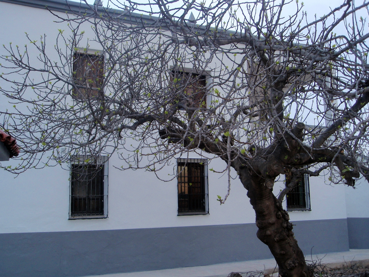 rehabilitacion