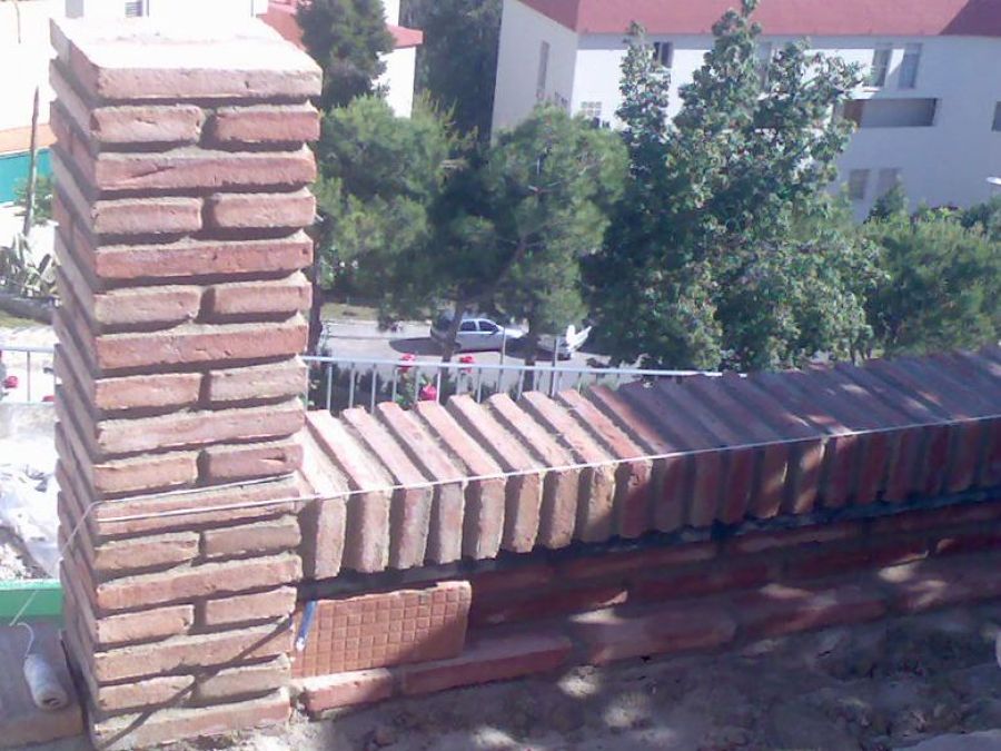 replanteo