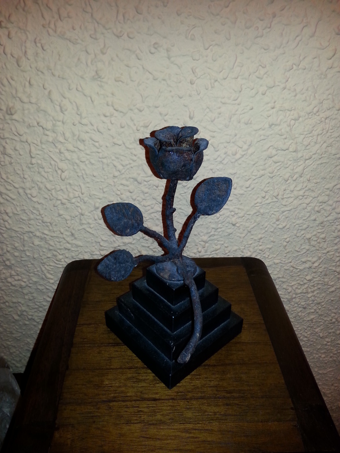 rosa