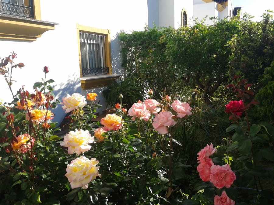 Rosales