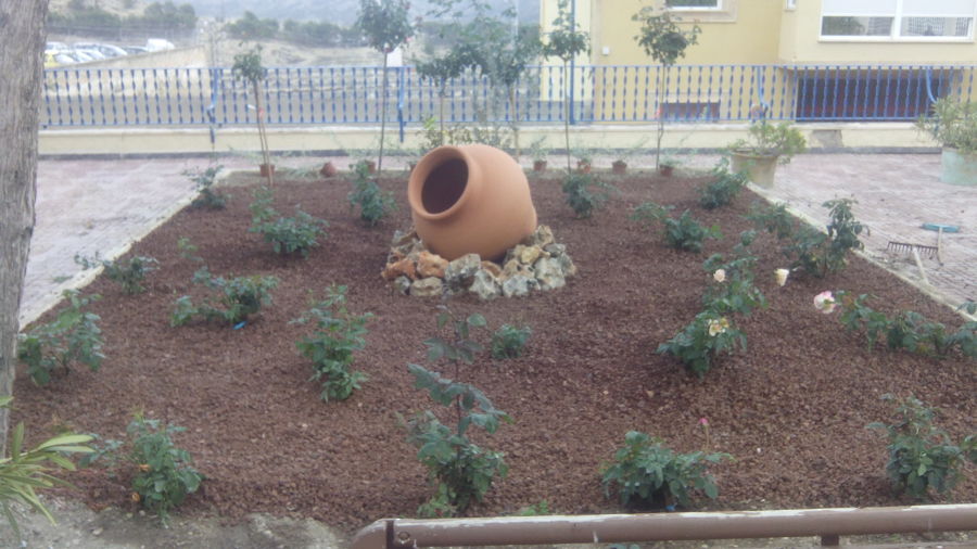 rosales