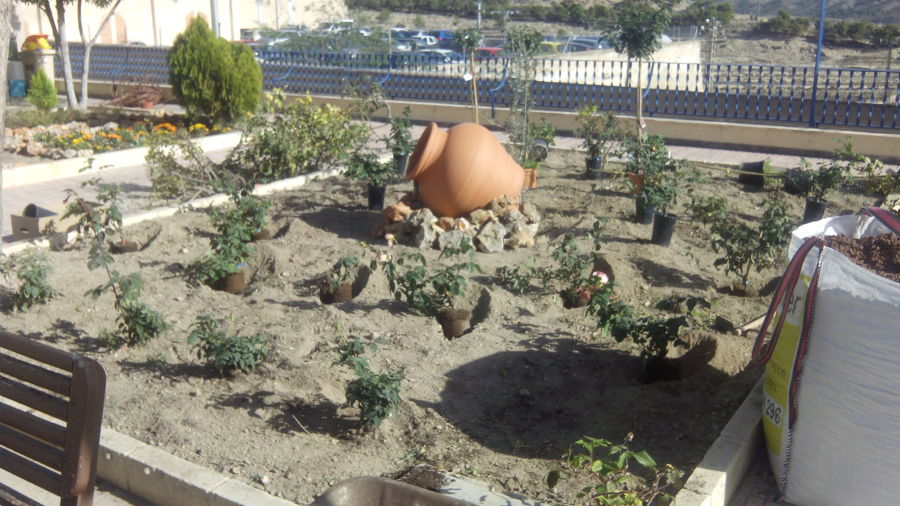rosales antes