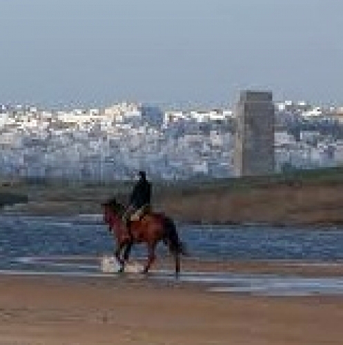 Rute Conili - Riaza