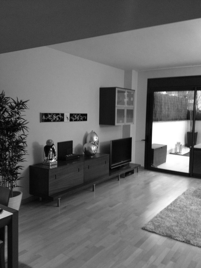 Salón-comedor.