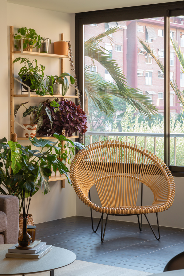 Salón / Terraza