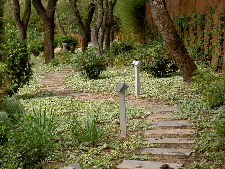 Senda entre encinas