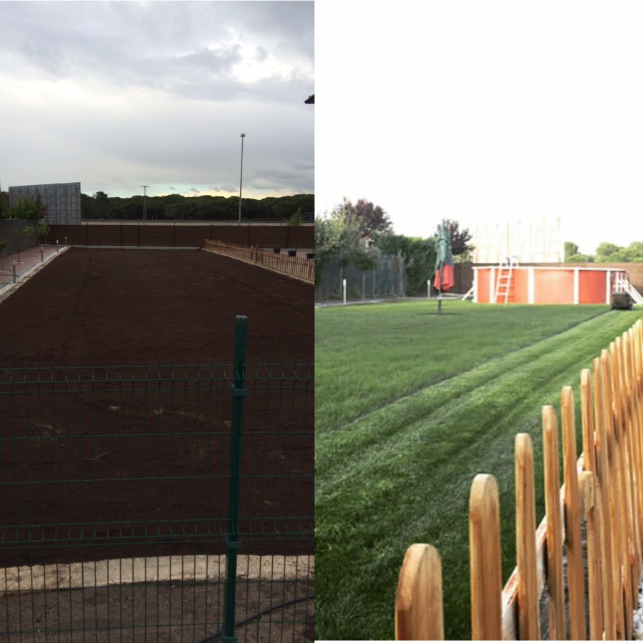 Siembra y Creación de Jardín | Ideas Jardineros