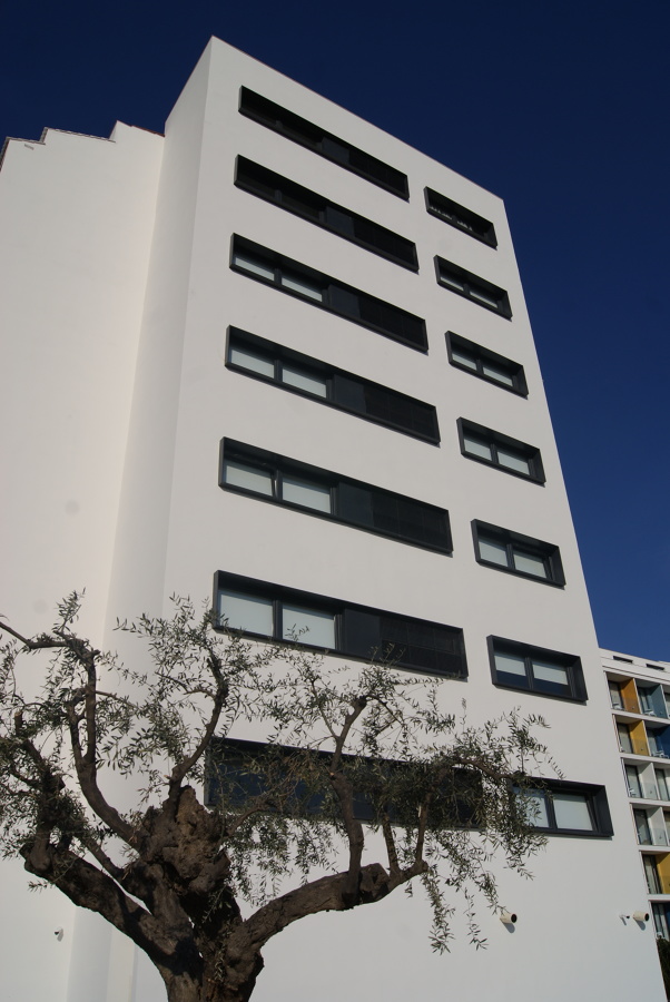 Silhouette 04