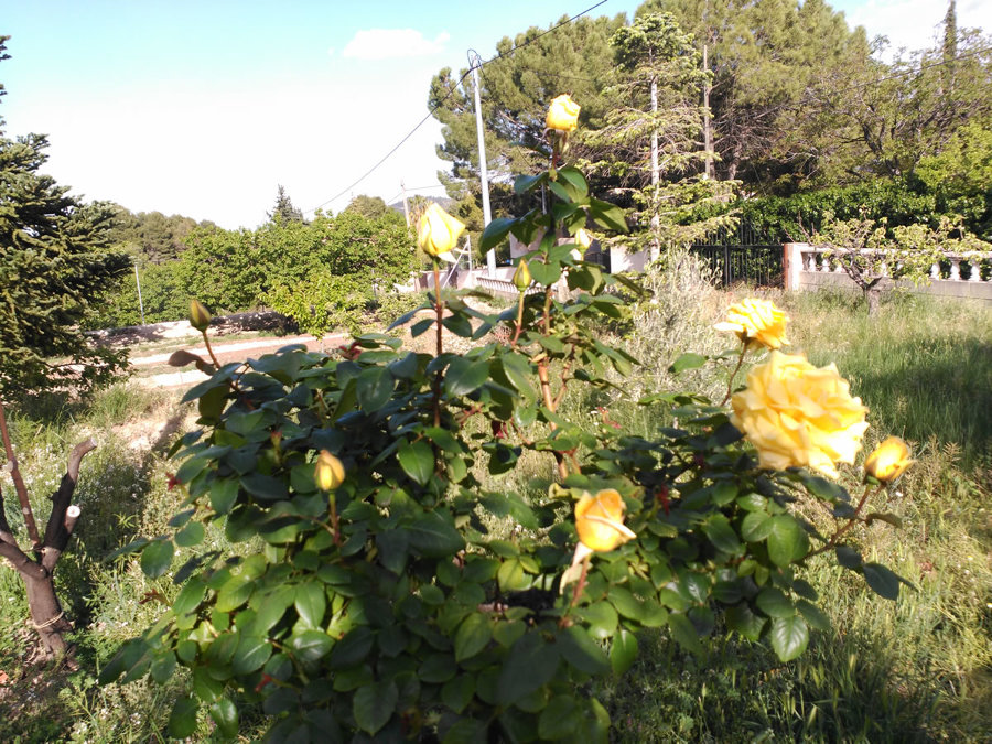 sistema de riego