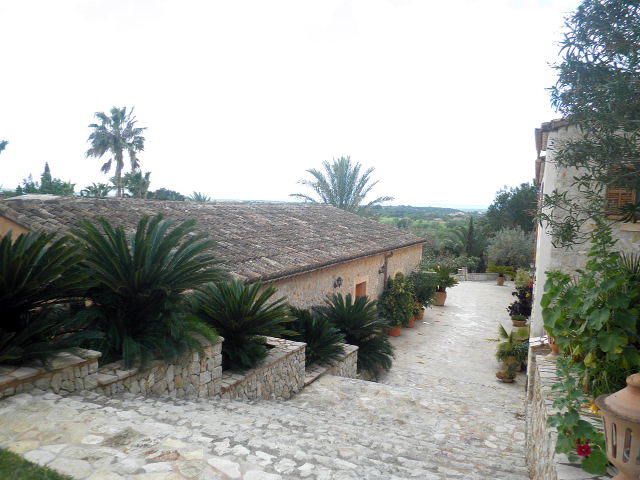 Son terrassa