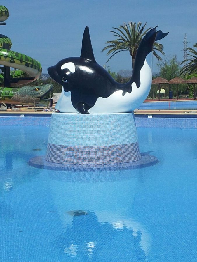 Suporte Ballena 