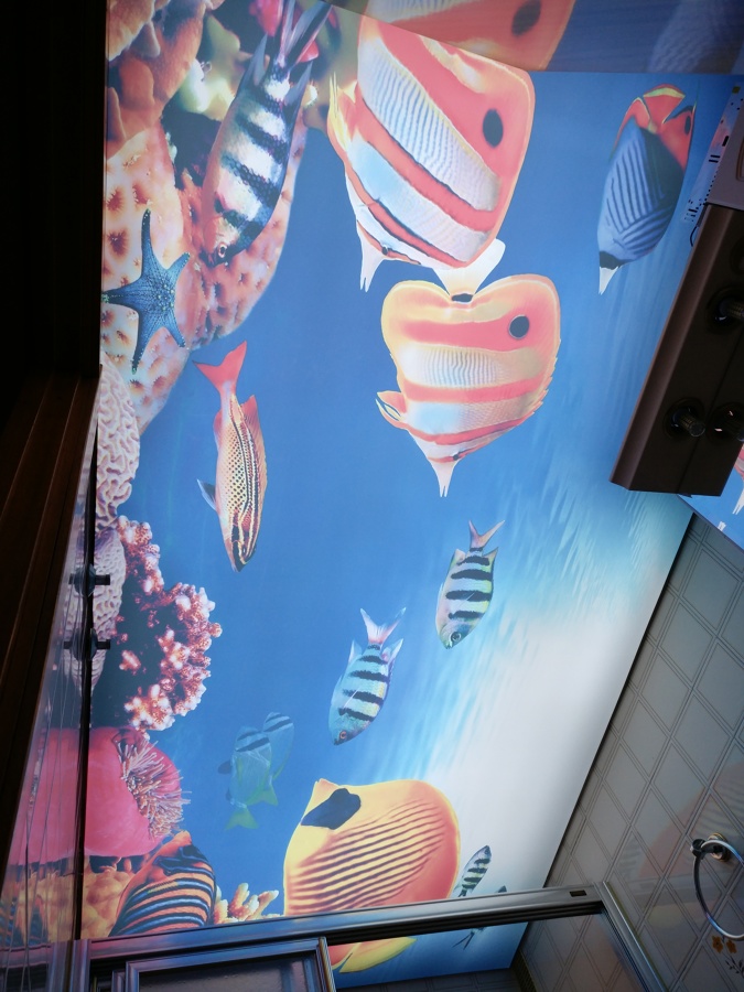 Techo Tensado,pladur,pintura | Ideas Reformas Viviendas